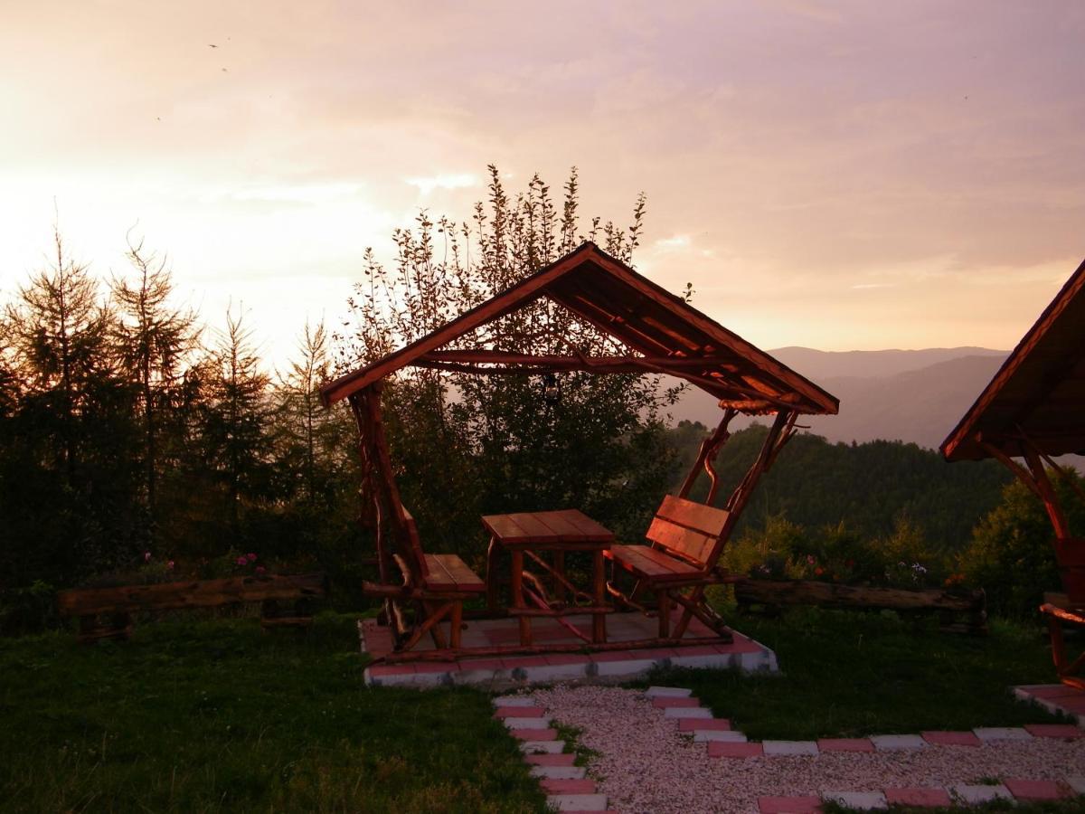 Pensiunea Bujor De Munte Hotel Petroşani Exterior foto