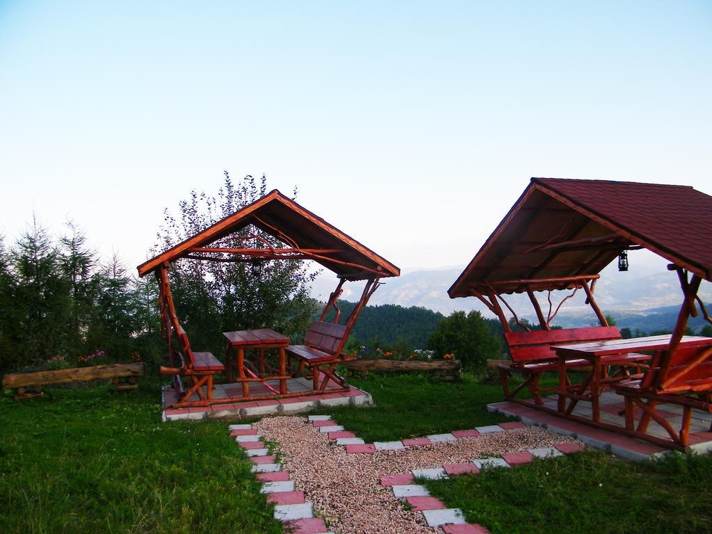 Pensiunea Bujor De Munte Hotel Petroşani Exterior foto