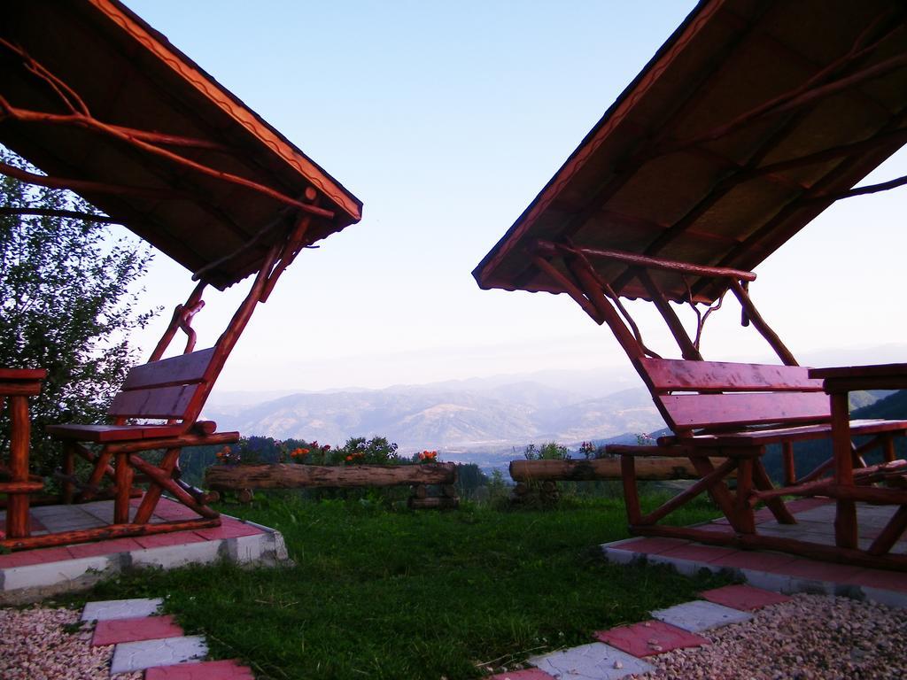 Pensiunea Bujor De Munte Hotel Petroşani Exterior foto